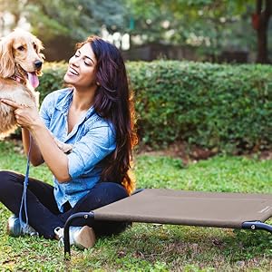 Bedsure Elevated Dog Bed Applicable Scene