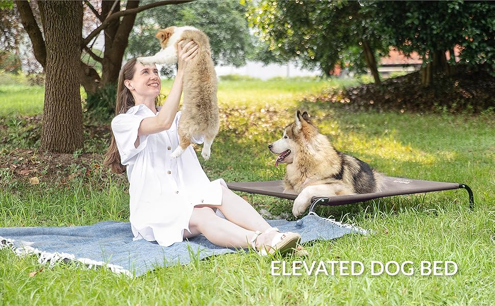 Bedsure Elevated Dog Bed